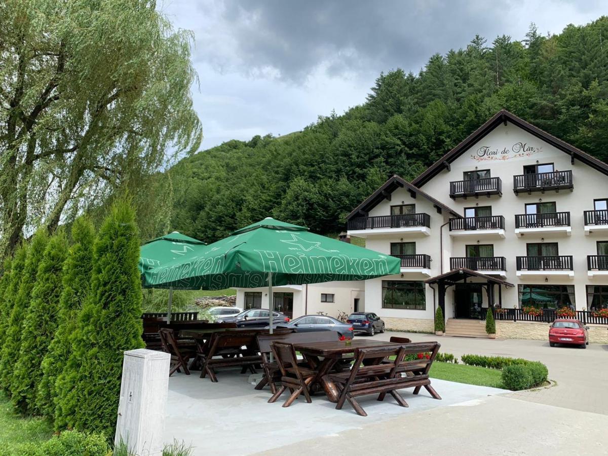 Flori De Mar Hotel Poiana Marului  Ngoại thất bức ảnh