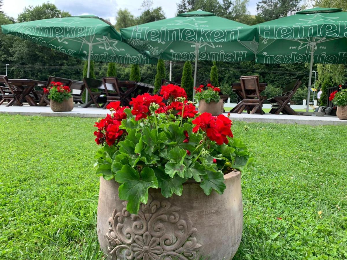 Flori De Mar Hotel Poiana Marului  Ngoại thất bức ảnh